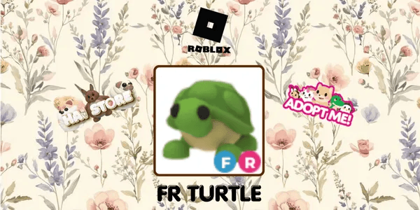 Turtle FR