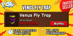 Venus Fly Trap