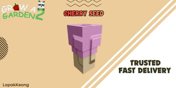 Gambar Product Cherry