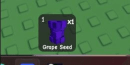 Gambar Product Grape