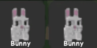 Bunny