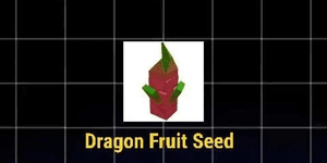 Dragon Fruit