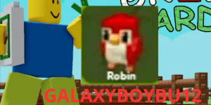 Robin