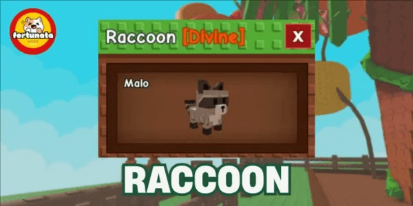 Raccoon