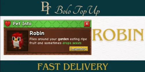 Robin