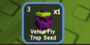 Venus Fly Trap