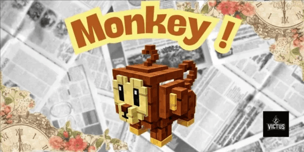 Monkey