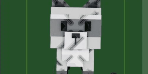 Raccoon