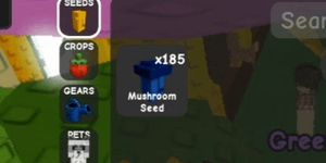 Mushroom