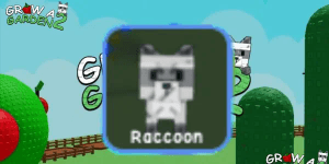Raccoon