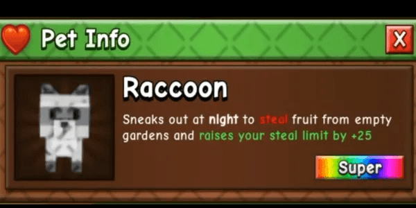 Raccoon