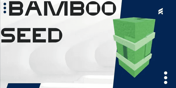 Bamboo