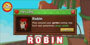 Robin