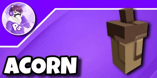 Acorn