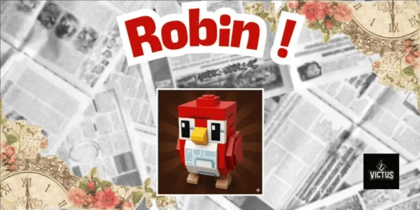 Robin