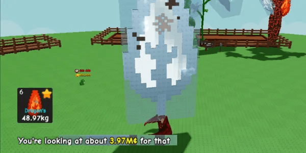3,970,000 SHECKLES | 48.97KG Fruit