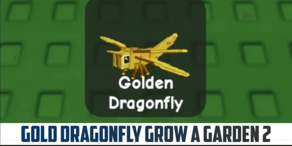 Golden Dragonfly