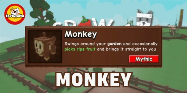 Monkey