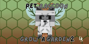 Raccoon
