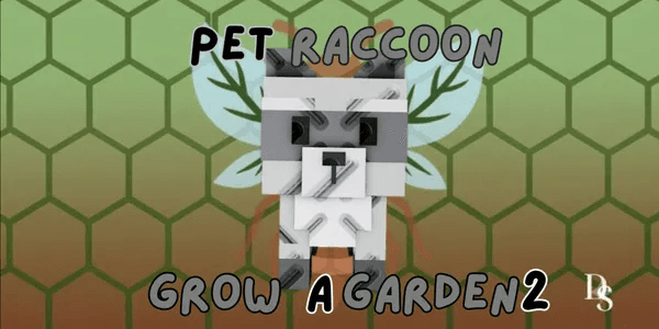 Raccoon