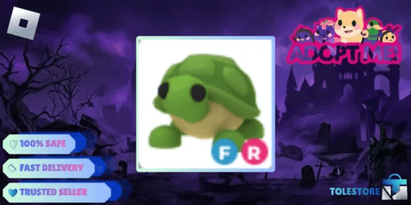 Turtle FR
