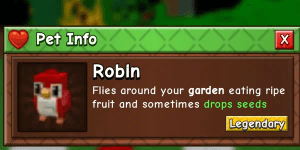 Robin