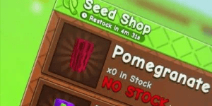Pomegranate