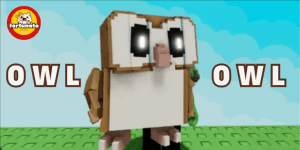 Owl