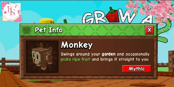 Monkey