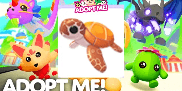 Sea Turtle