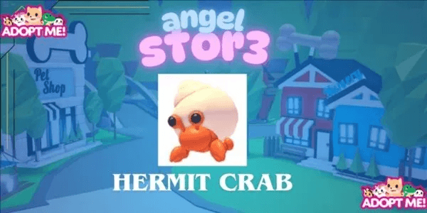 Hermit Crab