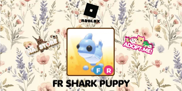 Shark Puppy FR