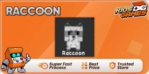 Raccoon