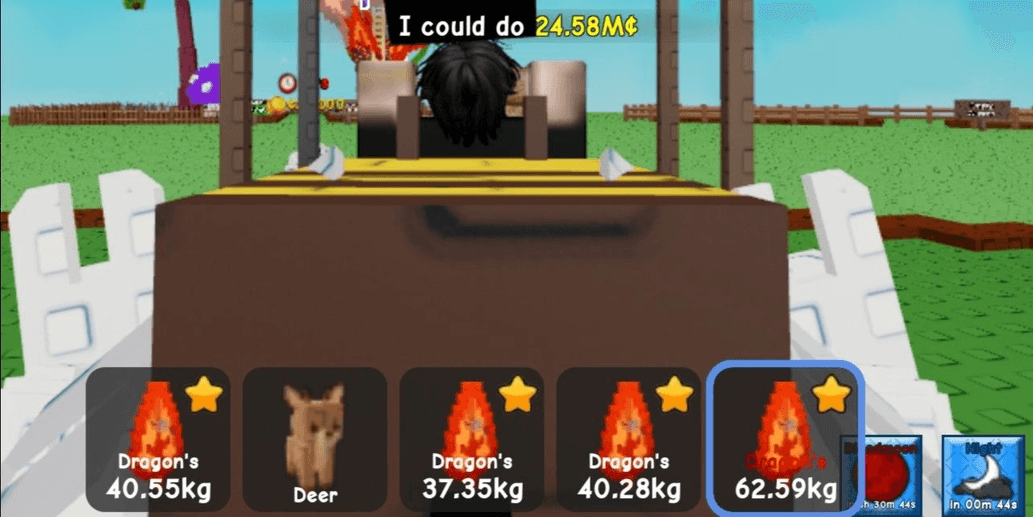Product Showcase