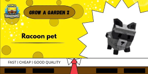 Raccoon