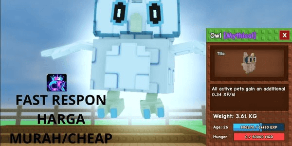 Gambar Product Owl