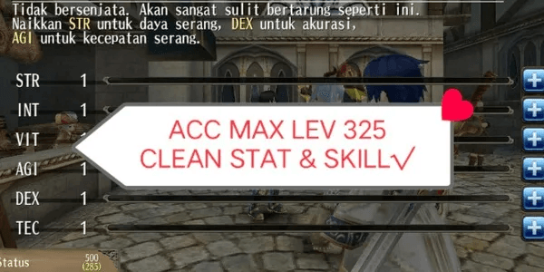 PLAIN CAP ACCOUNT
