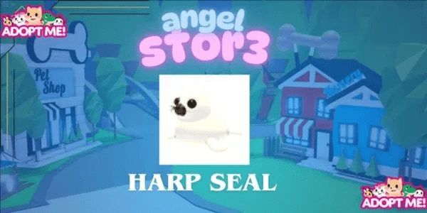 Harp Seal
