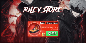 Mini Hoverboat