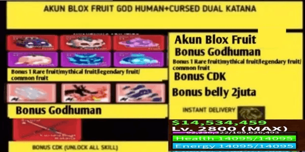 Blox Fruit Account (GodHuman) (CDK) (LevelMax) (Datpol) (God Human)