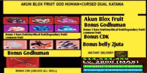 Blox Fruit Account (GodHuman) (CDK) (LevelMax) (Datpol) (God Human)