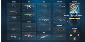 Valorant Hesabı Son Rütbe Unranked Çoklu Skin Paketi Mystbloom, Aemondir, VCT Leviatan Vandal Limited, Phantom & Çoklu Ajan