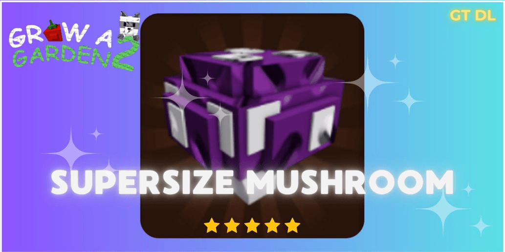 Product Showcase