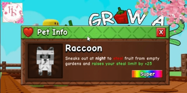 Raccoon