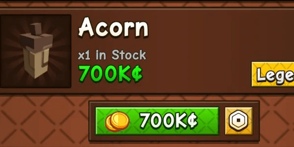 Acorn