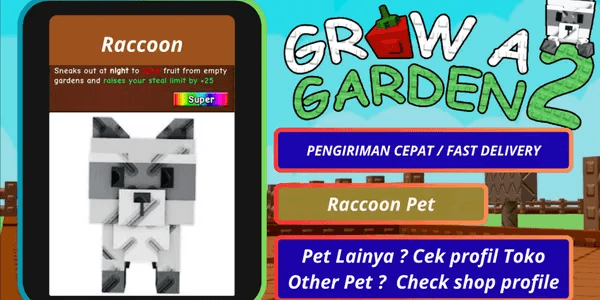 Raccoon