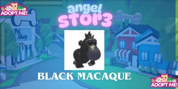 Black Macaque