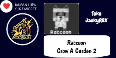 Raccoon