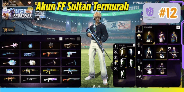FREE FIRE ACCOUNT AS PER PHOTO #12