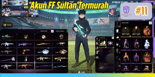 FREE FIRE ACCOUNT AS PER PHOTO #11